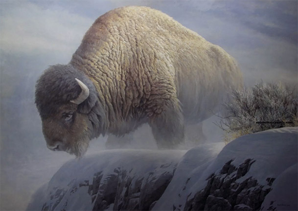 Robert Bateman Winter Bison